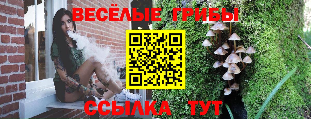 Псилоцибиновые грибы GOLDEN TEACHER Омск